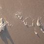 10729_thumb