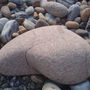 10764_thumb