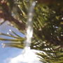 10768_thumb