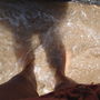 10770_thumb
