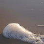 10772_thumb