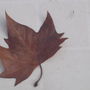 10774_thumb