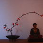10777_thumb