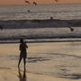 10778_thumb
