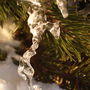 10779_thumb