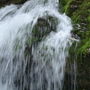 10781_thumb